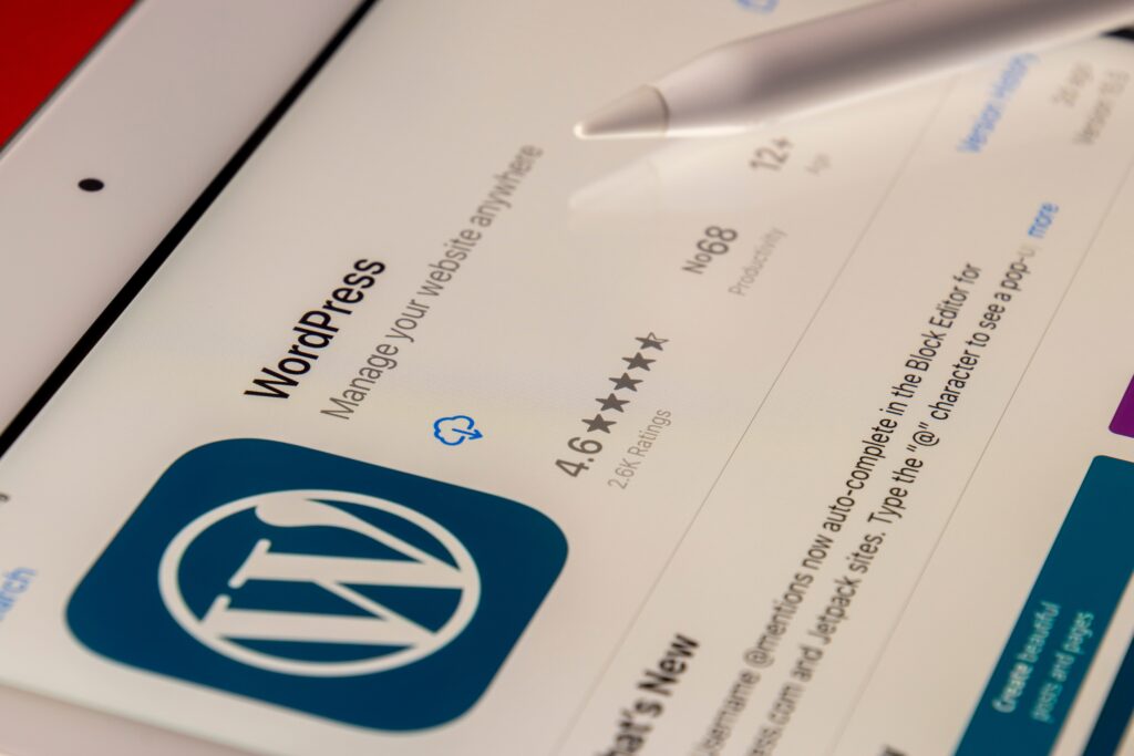 WordPress Plugin Development IT company